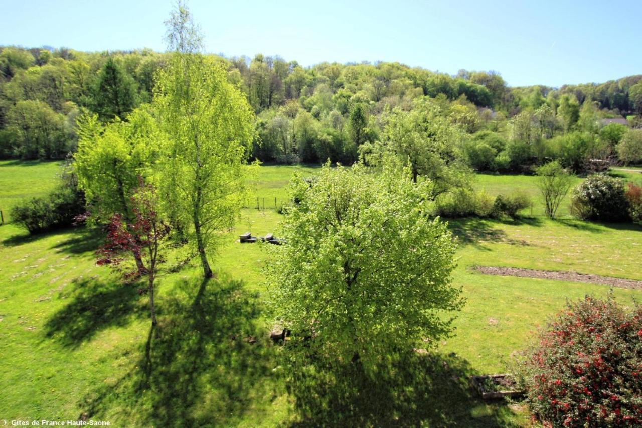 Au Fil Du Temps Bed and Breakfast Fougerolles-Saint-Valbert Esterno foto